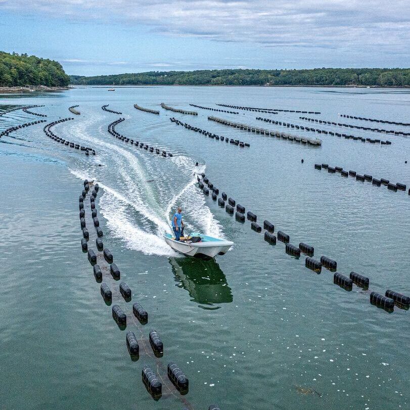 oyster farm with boat
